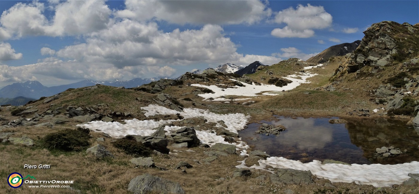 37 Bel valloncello con neve in disgelo, belle pozze d'acqua,distese di  Crocus vernus .jpg